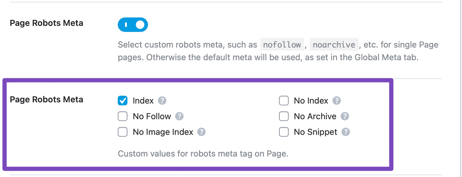 page robots meta custom settings