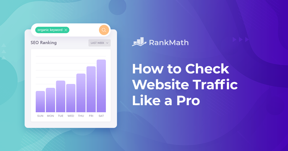 How to Check Website Traffic Like a Pro